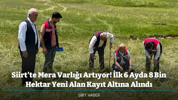 Siirt'te Mera Varlığı Artıyor! İlk 6 Ayda 8 Bin Hektar Yeni Alan Kayıt Altına Alındı