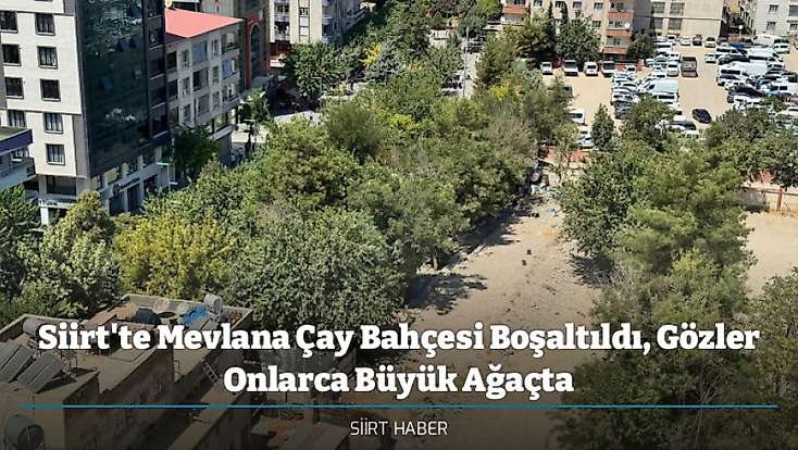 Siirt'te Mevlana Çay Bahçesi Boşaltıldı, Gözler Onlarca Büyük Ağaçta