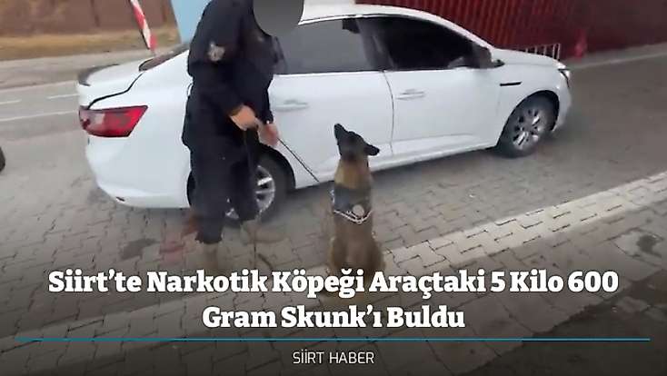 Siirt’te Narkotik Köpeği Araçtaki 5 Kilo 600 Gram Skunk’ı Buldu