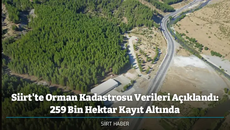 Siirt'te Orman Kadastrosu Verileri Açıklandı: 259 Bin Hektar Kayıt Altında