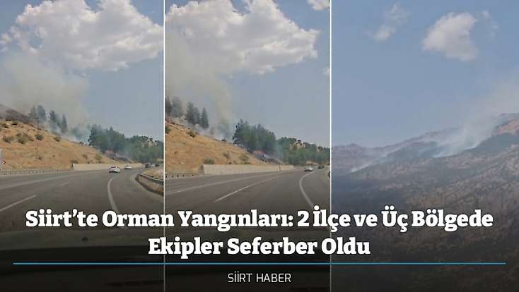 Siirt’te Orman Yangınları: 2 İlçe ve Üç Bölgede Ekipler Seferber Oldu