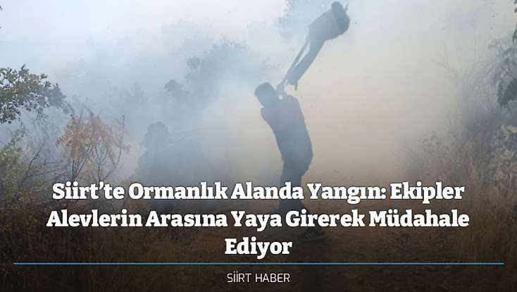Siirt’te Ormanlık Alanda Yangın: Ekipler Alevlerin Arasına Yaya Girerek Müdahale Ediyor