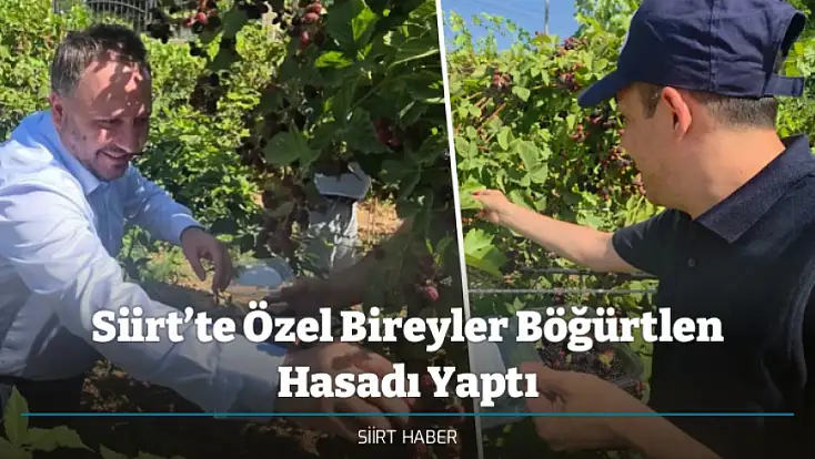 Siirt’te Özel Bireyler Böğürtlen Hasadı Yaptı