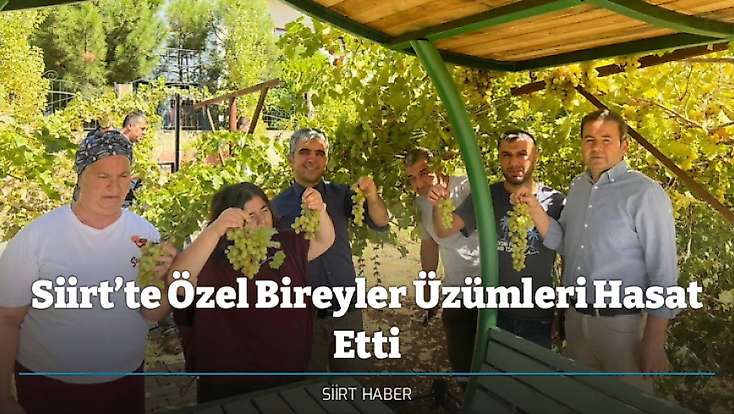 Siirt’te Özel Bireyler Üzümleri Hasat Etti