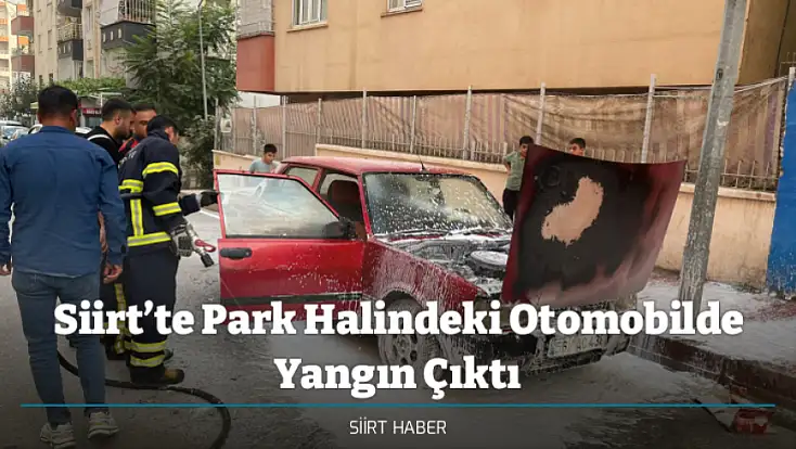 Siirt’te Park Halindeki Otomobilde Yangın Çıktı