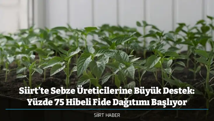 Siirt’te Sebze Üreticilerine Büyük Destek: Yüzde 75 Hibeli Fide Dağıtımı Başlıyor
