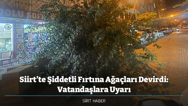 Siirt’te Şiddetli Fırtına Ağaçları Devirdi: Vatandaşlara Uyarı