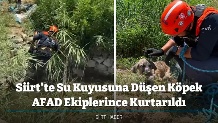 Siirt'te Su Kuyusuna Düşen Köpek AFAD Ekiplerince Kurtarıldı