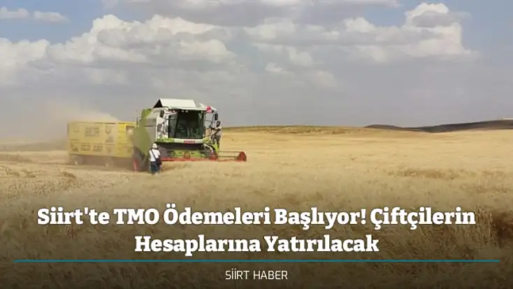 Siirt'te TMO Ödemeleri Başlıyor! Çiftçilerin Hesaplarına Yatırılacak