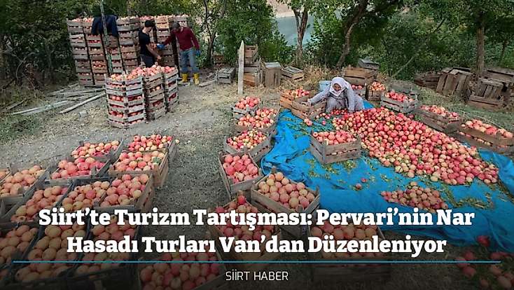 Siirt’te Turizm Tartışması: Pervari’nin Nar Hasadı Turları Van’dan Düzenleniyor