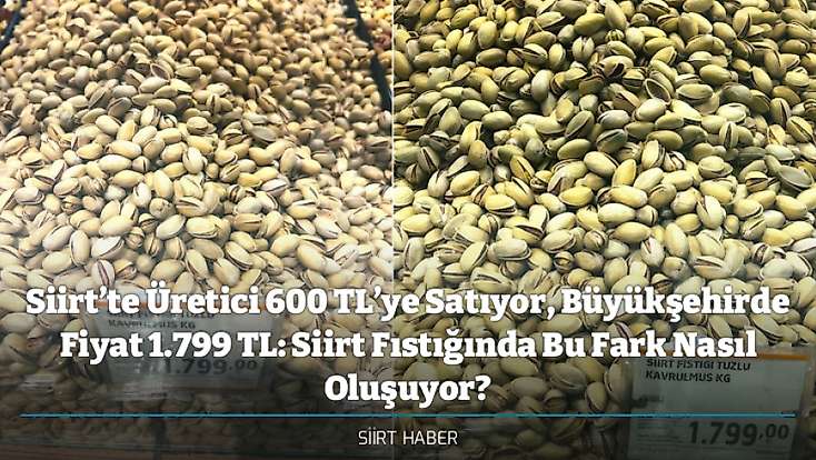 Siirt’te Üretici 600 TL’ye Satıyor, Büyükşehirde Fiyat 1.799 TL: Siirt Fıstığında Bu Fark Nasıl Oluşuyor?