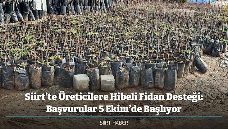 Siirt’te Üreticilere Hibeli Fidan Desteği: Başvurular 5 Ekim’de Başlıyor