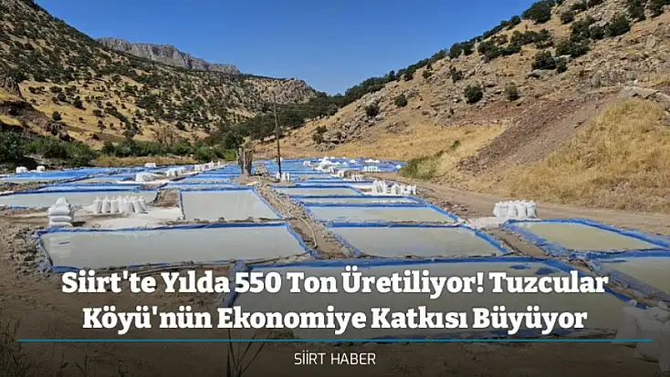 Siirt'te Yılda 550 Ton Üretiliyor! Tuzcular Köyü'nün Ekonomiye Katkısı Büyüyor