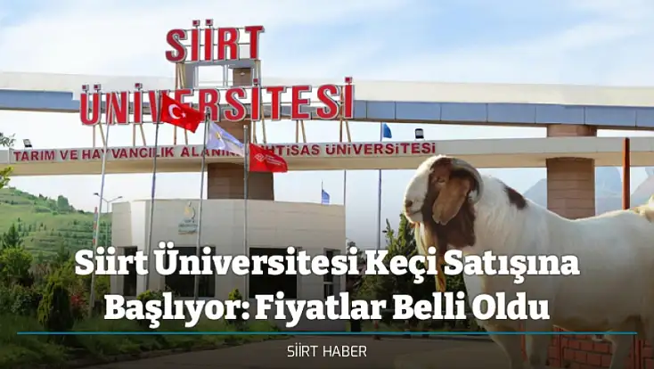 Siirt Üniversitesi Keçi Satışına Başlıyor: Fiyatlar Belli Oldu