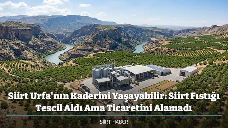Siirt Urfa'nın Kaderini Yaşayabilir: Siirt Fıstığı Tescil Aldı Ama Ticaretini Alamadı
