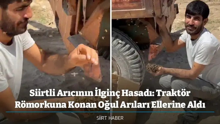 Siirtli Arıcının İlginç Hasadı: Traktör Römorkuna Konan Oğul Arıları Ellerine Aldı