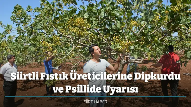 Siirtli Fıstık Üreticilerine Dipkurdu ve Psillide Uyarısı