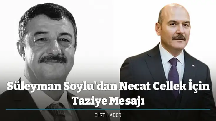Süleyman Soylu'dan Necat Cellek İçin Taziye Mesajı
