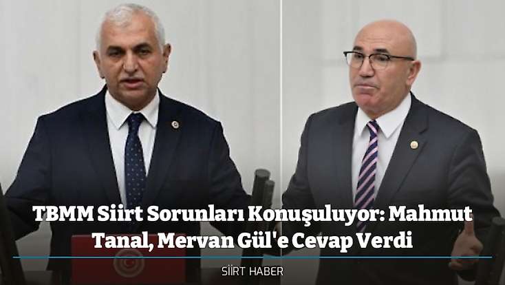 TBMM Siirt Sorunları Konuşuluyor: Mahmut Tanal, Mervan Gül'e Cevap Verdi