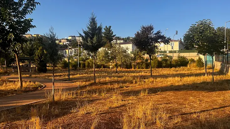 Siirt Millet Bahçesi'nde Çimler Bakımsızlık Nedeniyle Kurudu
