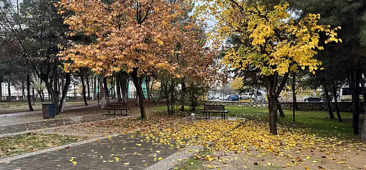 Siirt'in Göbeğinde Renk Cümbüşü! Soğuk havada sıcak bir manzara