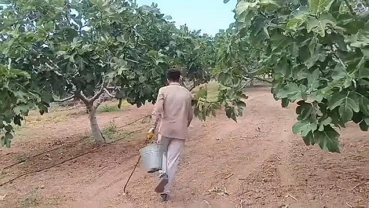 1400 TL İçin Binlerce Kilometre Uzakta: Siirt'te İşsizlik Dram