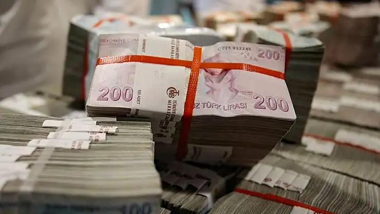 2 Milyondan Fazla Hesapta Unutulan Paralar TMSF'ye Geçti