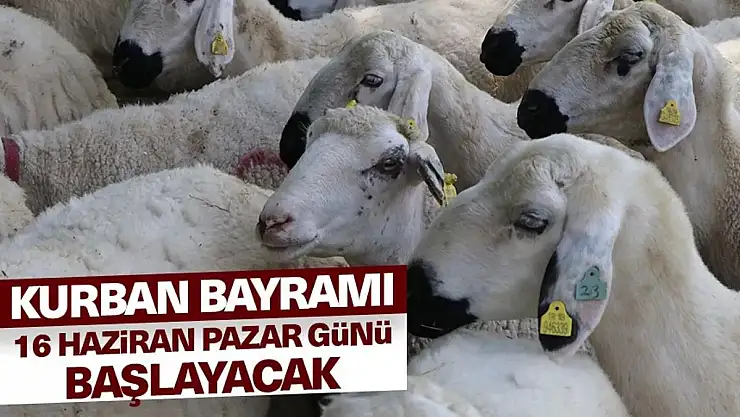 9 Günlük Tatil, Başlıyor 3 Bin TL Bayram İkramiyesini Peşin Alan Emekliler Tatillerini Yurt Dışında Bile Geçirebilirler!!!