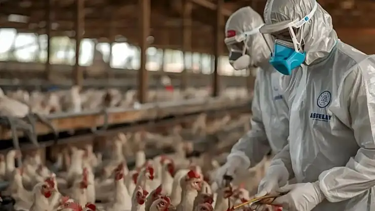 Almanya'da Kuş Gribi Alarmı: 130 Bin Hayvan İtlaf Edilecek