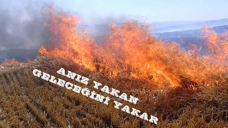 Anız Yakma ve Yasaklı Alanlarda Yüzme İhlallerine Karşı Yaptırımlar Uygulandı
