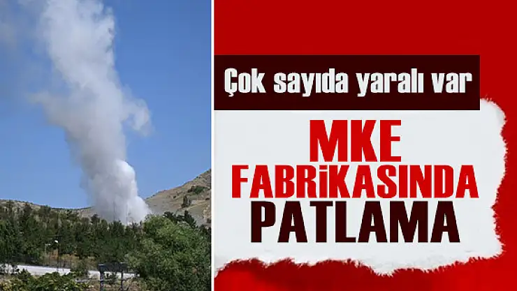 Ankara Kayaş'ta Makine Kimya Enstitüsü'ne Ait Fabrikada Patlama