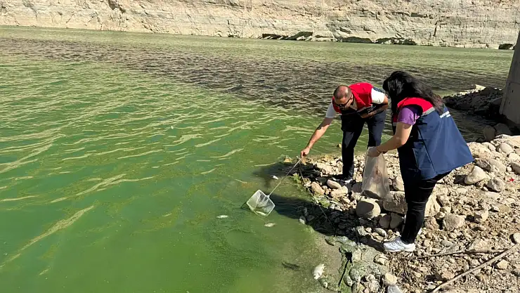 Artı Siirt'in Haberi Ses Getirdi: Botan Vadisi'nde Balık Ölümleri İncelemeye Alındı