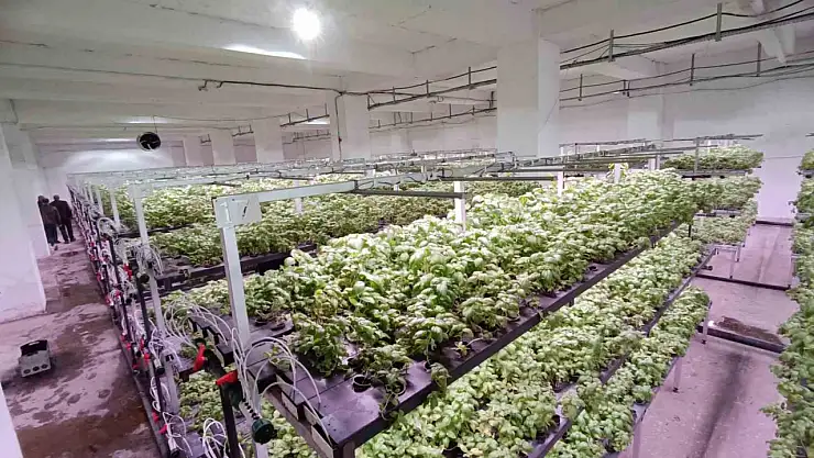 Batman'a eksi birinci katta 30 milyonluk 'dikey tarım' yatırımı