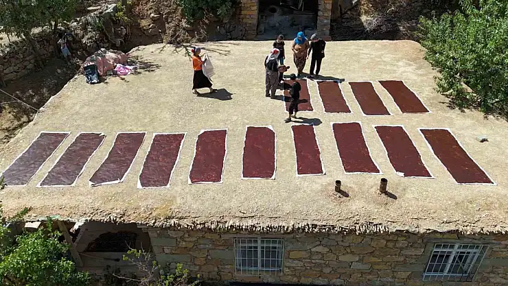 Batman Mereto Dağı'nda Siyah Üzüm Hasadı: Günlüce Köyünde Cevizli Sucuk ve Pestil Geleneği