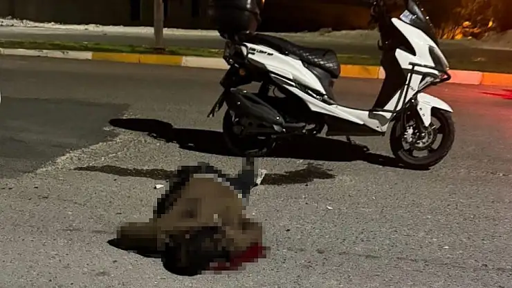Şanlıurfa'da Dehşet: Bıçaklı Saldırıya Uğrayan Genç Motosikletle Hastaneye Giderken Hayatını Kaybetti