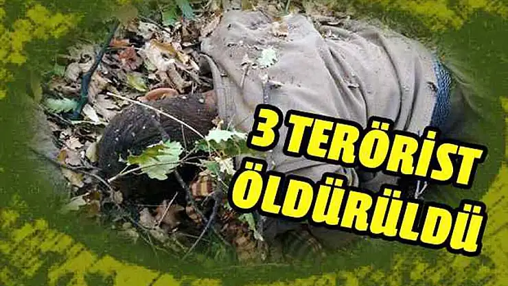 (BTÖ) MENSUBU 3 TERÖRİST ETKİSİZ HALE GETİRİLDİ