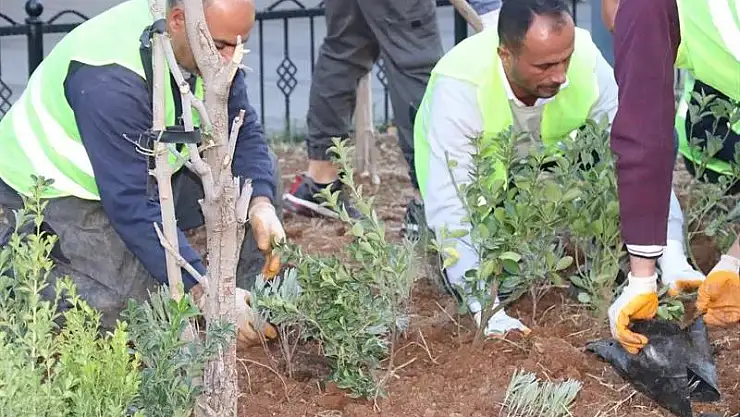 Daha Yeşil Bir Siirt İçin