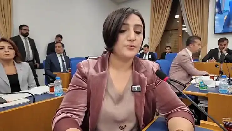 DEM Parti Siirt Milletvekili Sarıtaş, Siirt'in Turizmde Geri Planda Kalmasını Meclis Gündemine Taşıdı