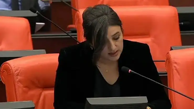 DEM Parti, Siirt'teki özel eğitim okuluna ilişkin iddiaları Meclis gündemine taşıdı