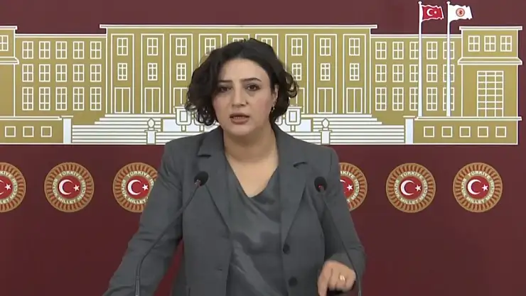 DEM Partili Sarıtaş, Siirt'in Kronikleşen Sorunlarını Meclis Gündemine Taşıdı