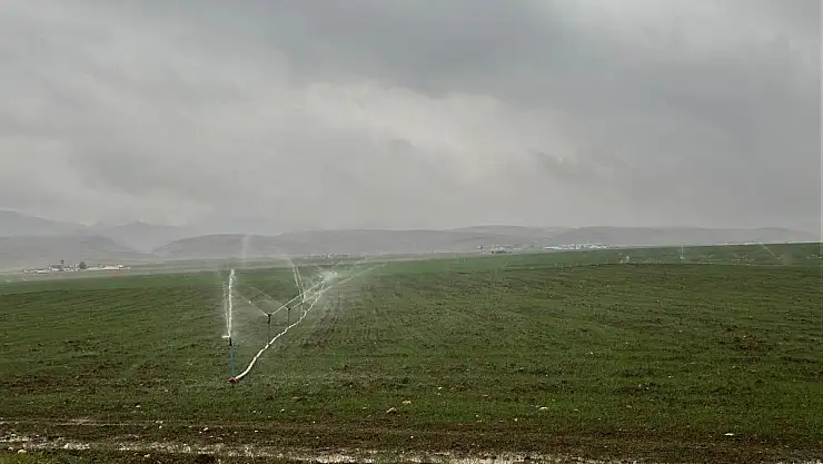 Dicle Elektrik'ten Şaşkınlık Uyandıran Tespit