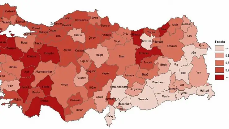 Doğu ile Batı Arasındaki Beşeri Sermaye Farkı: Siirt Ortalama Altında Kaldı