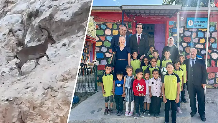 Eruh Dağlarında Sürpriz Karşılaşma: Siirt İl Milli Eğitim Müdürü Dağ Keçilerini Görüntüledi