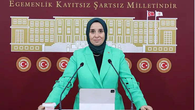 Esen: Sosyal Devlet Çöktü!