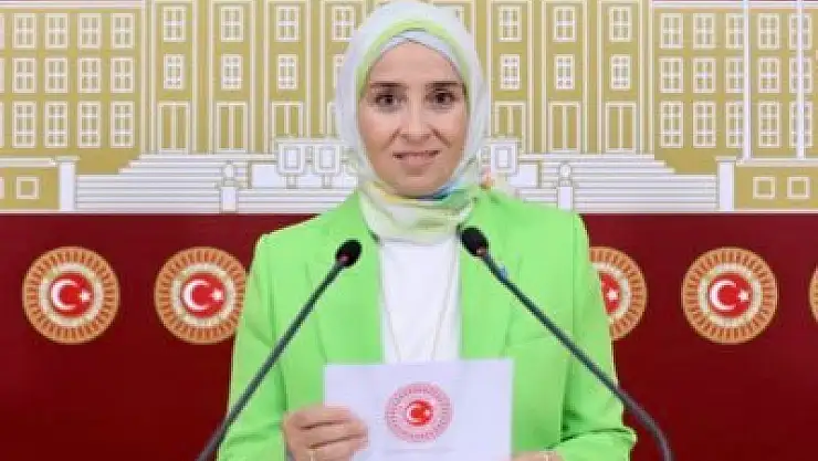 Esen'den 'Aile Yılı' Eleştirisi