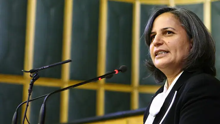 Eski Siirt Milletvekili ve DEM Parti'nin Ankara Adayı Gültan Kışanak'tan Mektup