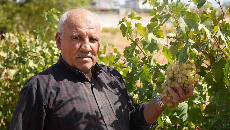 Fıstık şehrine kurduğu üzüm bağı üreticilere örnek oldu
