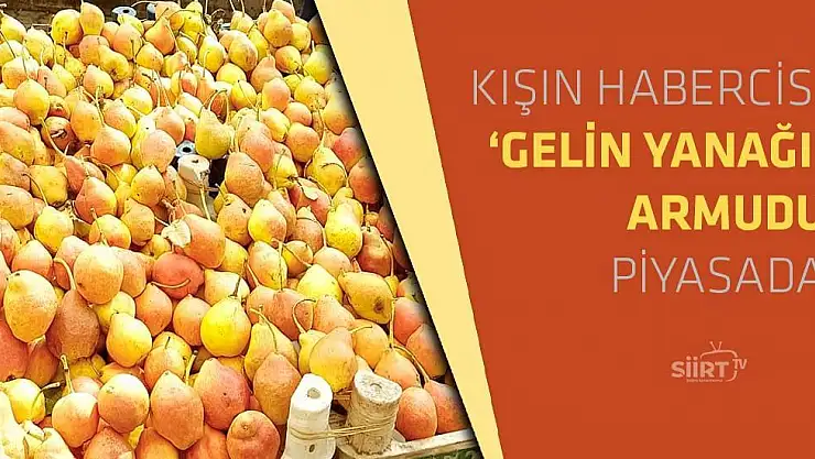 Ğettıl Arus  (Gelin Yanağı) Piyasada