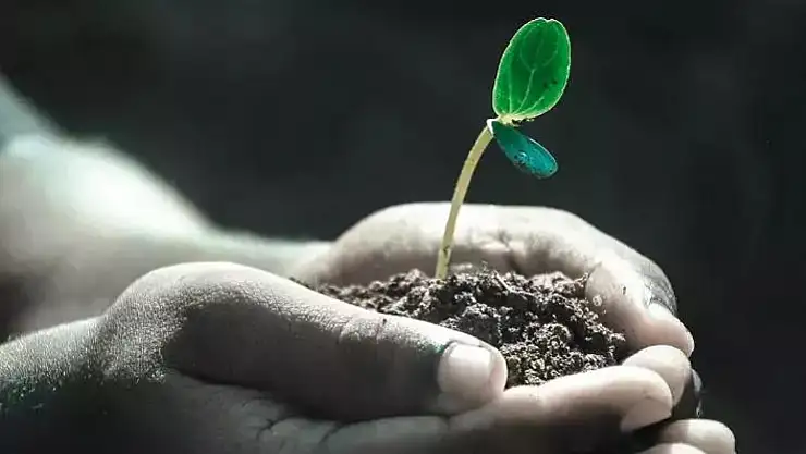 Hava ve Su Cemrelerinden Sonra Toprak Cemresi de Yarın Düşecek