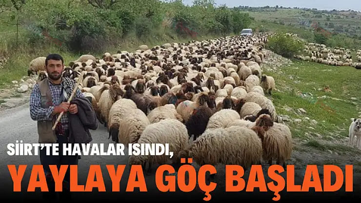 Havalar Isınmaya Başlayınca Göçerler Yaylalara Çıkmağa Başladı